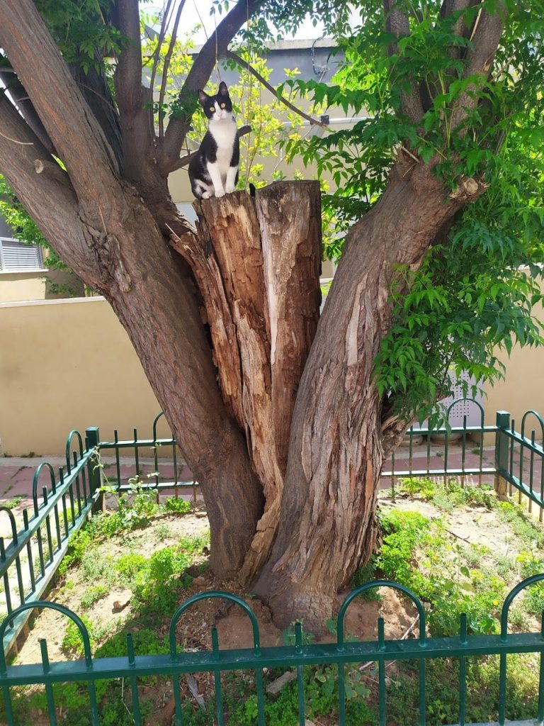 When there’s a will there’s a way