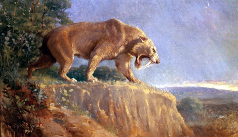 Seriously, a saber-tooth attack at 2 a.m. (again)?